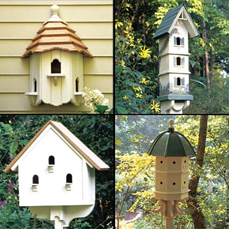 For the Birds - Project Plan 502047