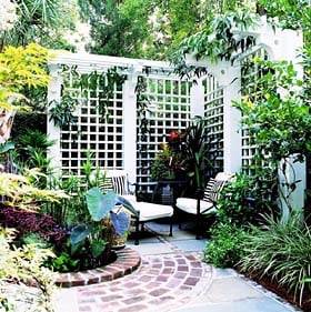 Old-World Privacy Trellis - Project Plan 503483