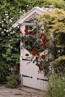 Gate Arbor - Project Plan 503511